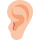 Conseils-auditif